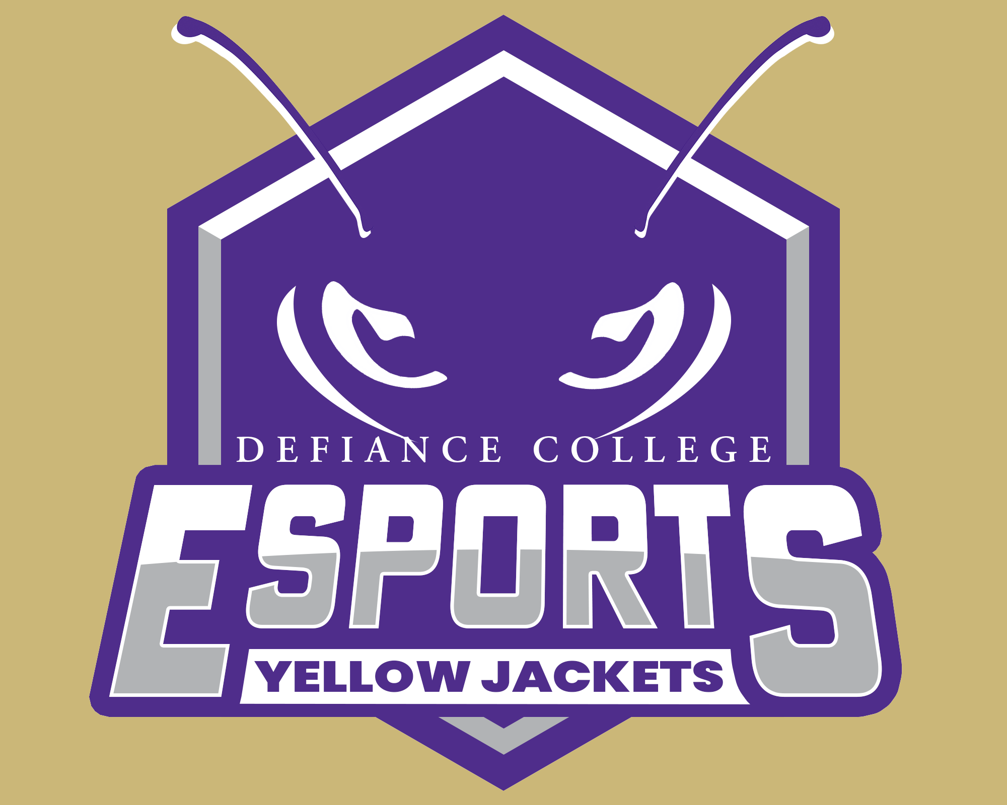 Defiance College | Stay Plugged In